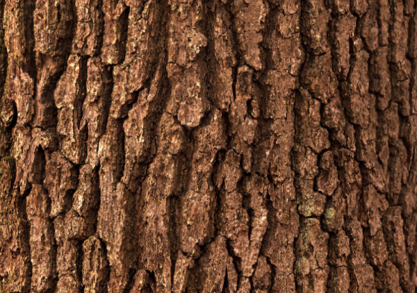 migliore legno per serramenti